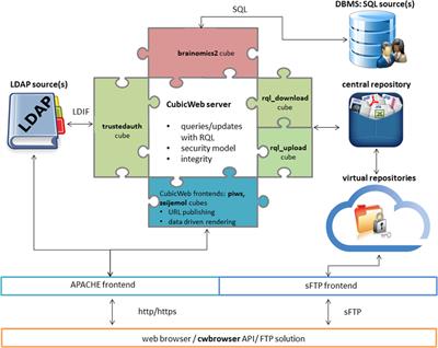 Neuroimaging, Genetics, and Clinical Data Sharing in Python Using the CubicWeb Framework